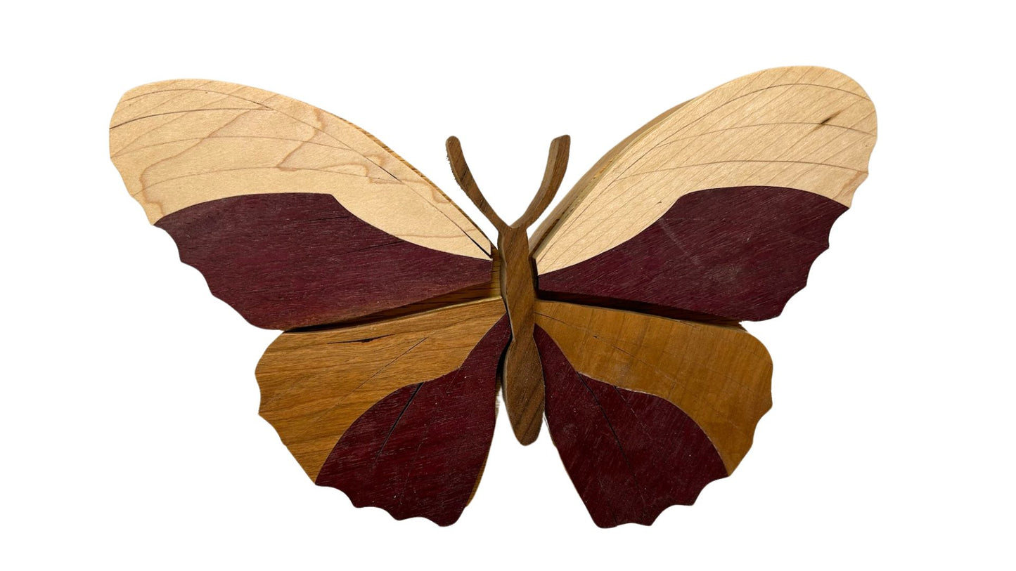 Butterfly segmentation box with four storage compartments